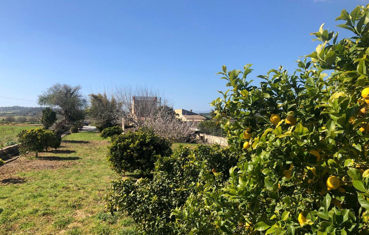 Son Roig ,Beautiful Place In The Heart Of Mallorca -Etv 9979 Maria De La Salut Bagian luar foto